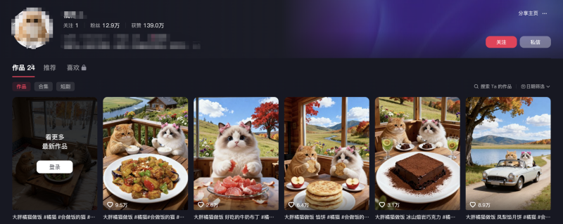 项目55：视频丨 橘猫做饭爆款视频-海煌AI