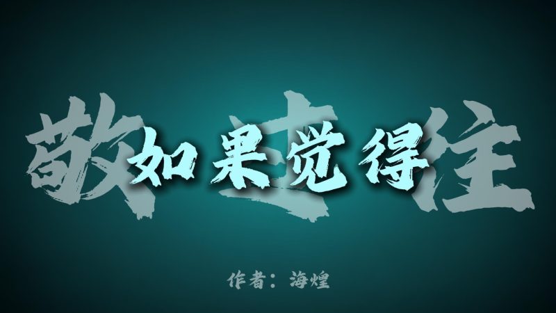 项目66：视频丨语录全赛道版工作流-海煌AI