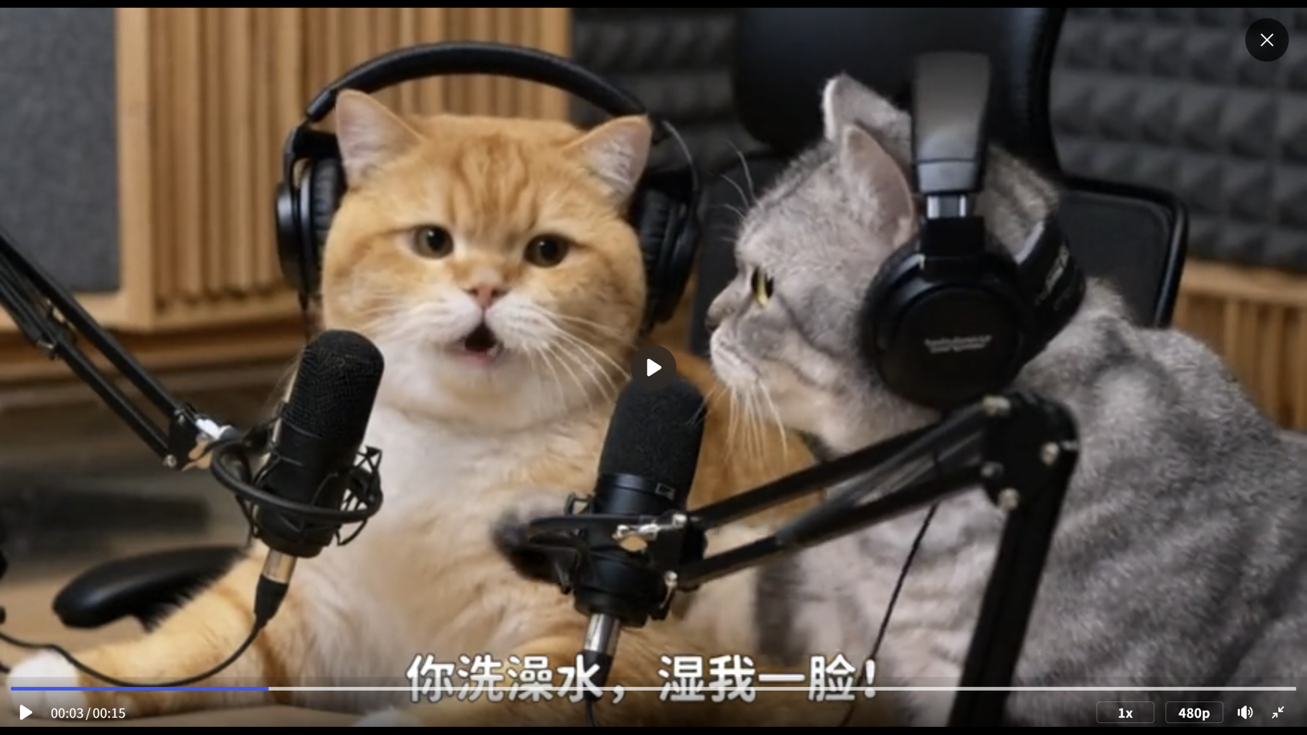 项目99：视频丨萌宠ai博客搞笑视频-海煌AI